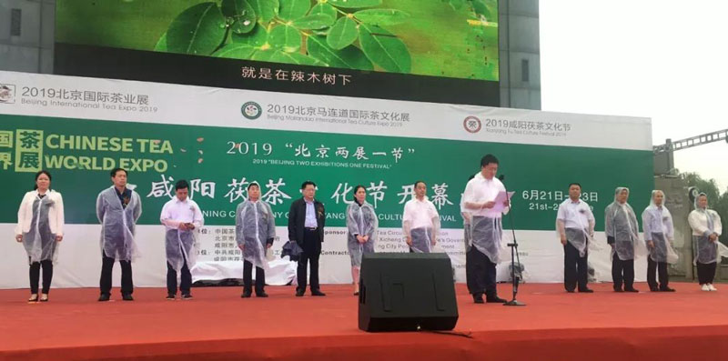 涇陽(yáng)茯茶